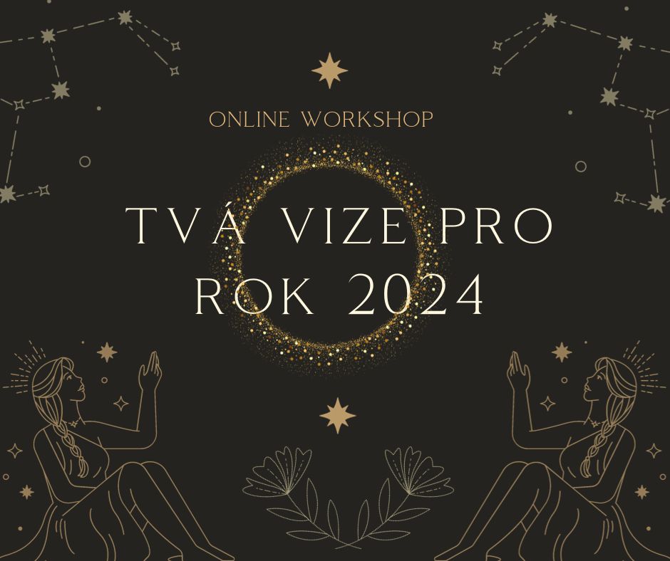 Workshop Tvá Vize Průvodkyně Na Cestě Za Vědomým ženstvímprůvodkyně